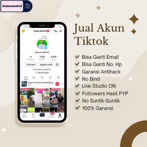 jual Akun TikTok Ads