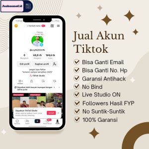 jual Akun TikTok Ads